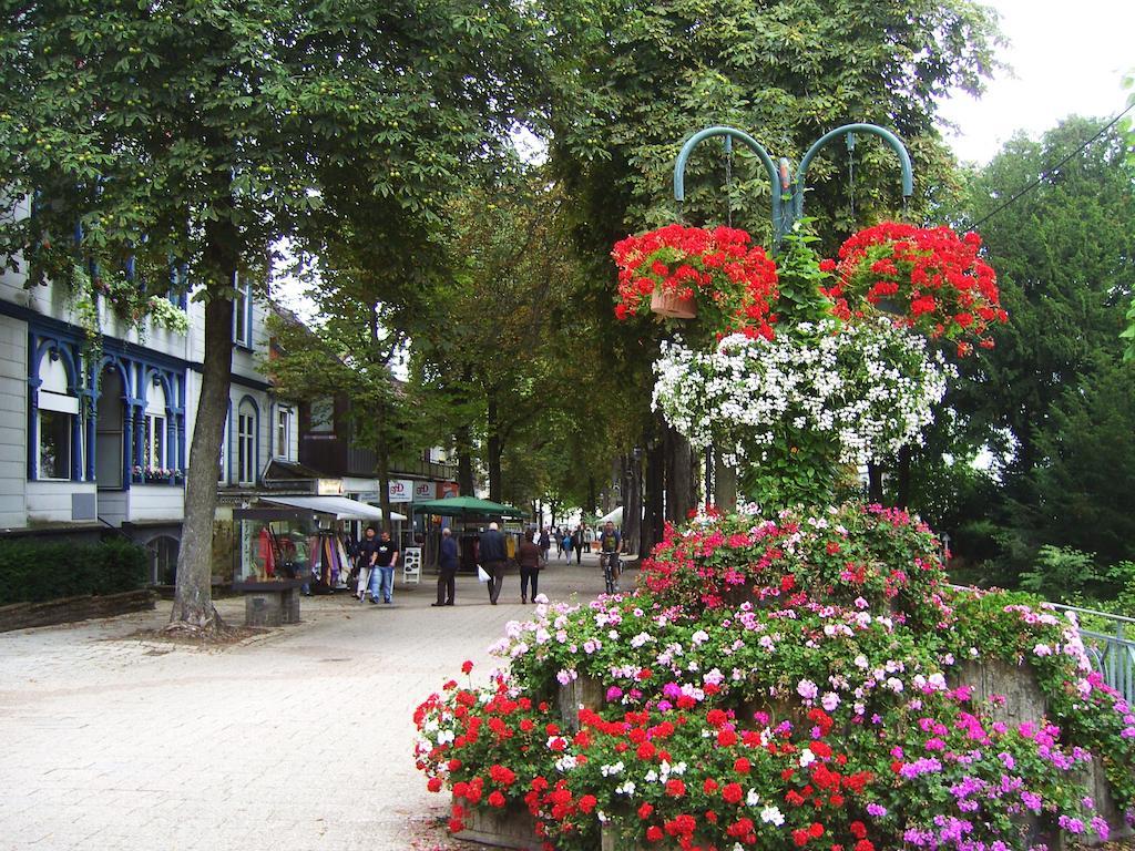 Harzburger Ferienwohnung Bad Harzburg Pokoj fotografie